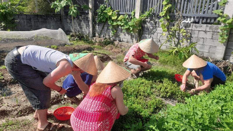 Một Ngày Làm Nông Dân Và Khám Phá Địa Đạo Củ Chi  (2)